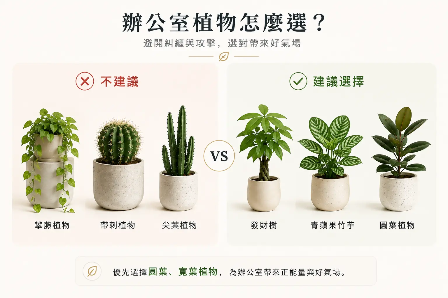辦公室植物風水選擇:避免攀藤與帶刺植物,建議選擇圓葉與寬葉植物